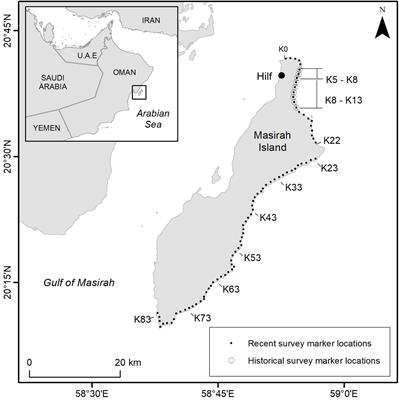 Evaluating the Long-Term Trend and Management of a Globally Important Loggerhead Population Nesting on Masirah Island, Sultanate of Oman